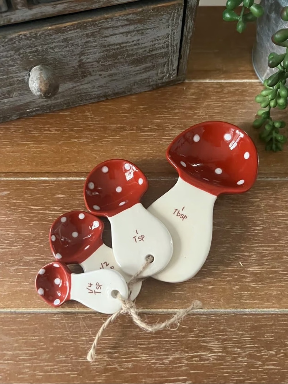 New Boho Farmhouse Ceramic Mushroom Measuring Spoons